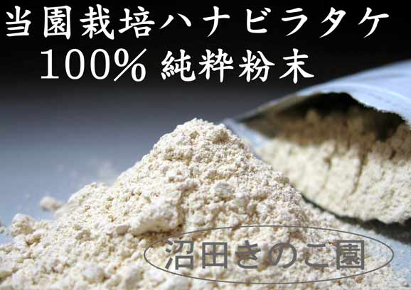 ���Ⱥ��ݥϥʥӥ饿��100��̵ź��ʴ���ѥ�����